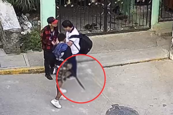 Violencia sin freno en Xalapa: menor asaltado con machete a plena luz del día (+VIDEO)