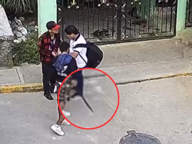 Violencia sin freno en Xalapa: menor asaltado con machete a plena luz del día (+VIDEO)
