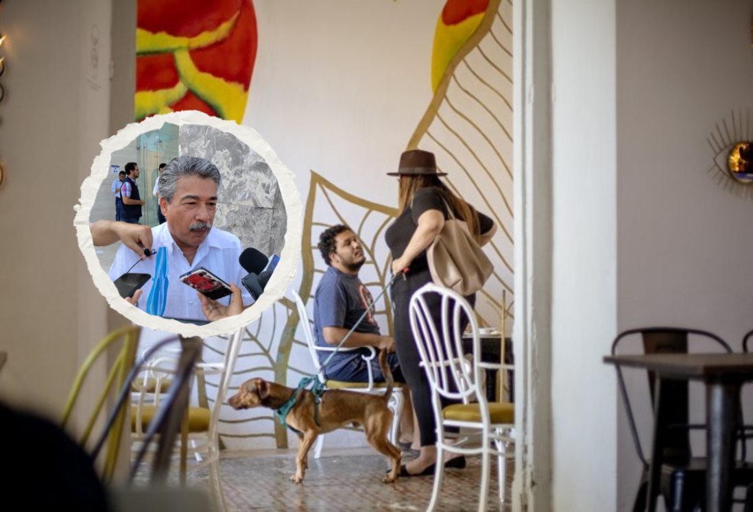 Restaurantes de Boca del Río comienzan a sumarse a la tendencia pet-friendly