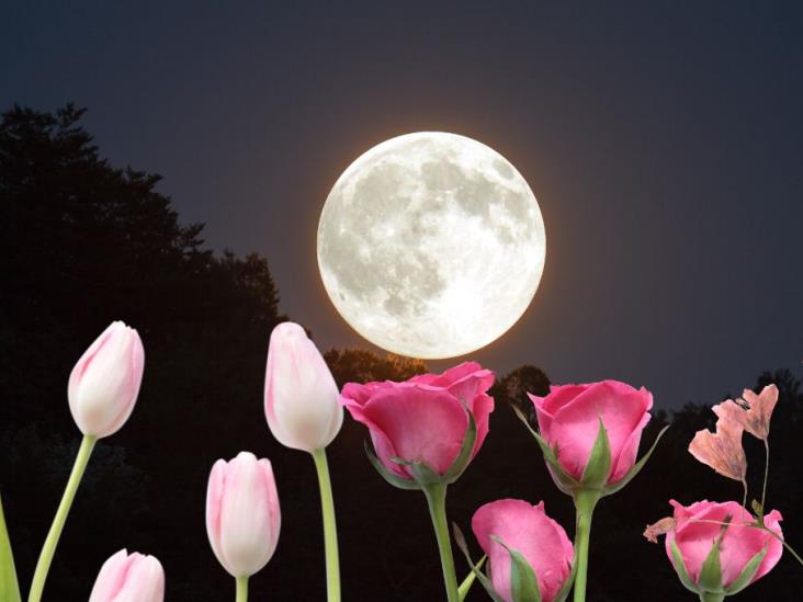 Luna de Flores 2025: ¿podrá verse en Veracruz?