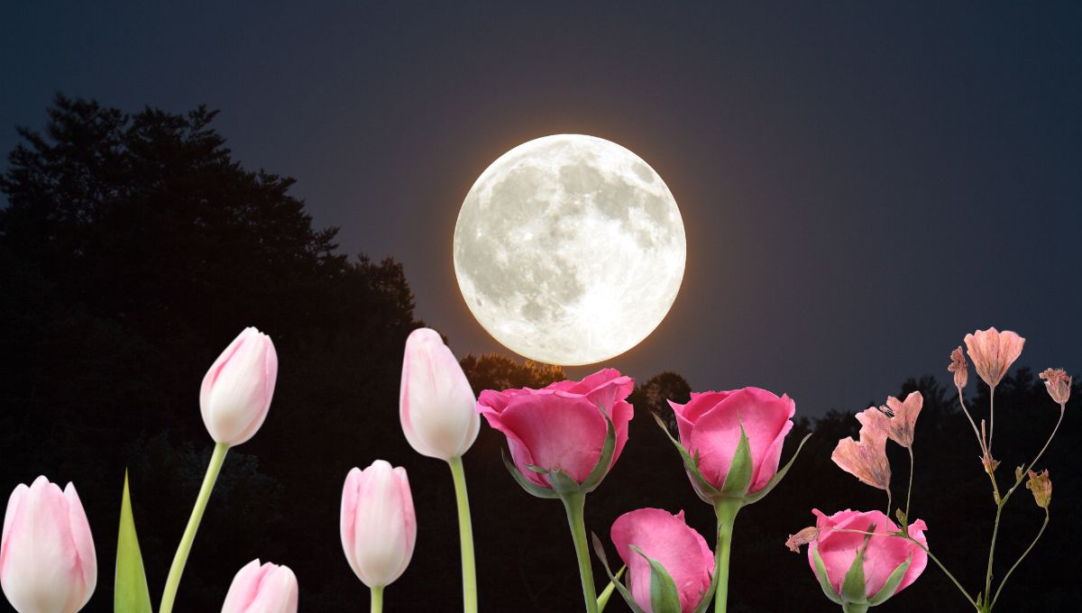 Luna de Flores 2025: ¿podrá verse en Veracruz?