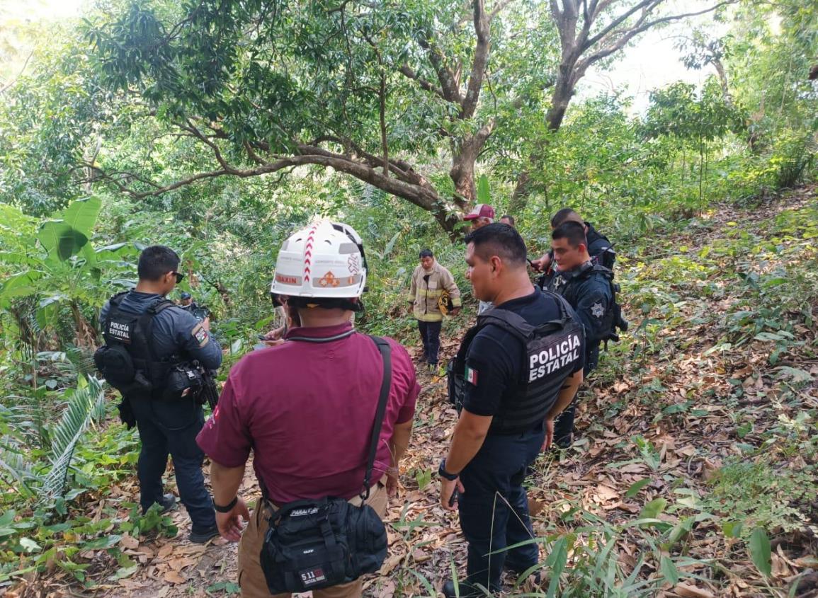 Enjambre de abejas termina con la vida de octogenario en San Andrés Tuxtla
