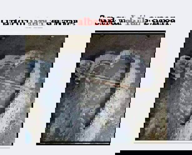 Entre colados y carcajadas: memes del Día del albañil y la Santa Cruz