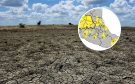 Calor no dará tregua a Veracruz; 2025 será el segundo año más seco desde 1981: Conagua