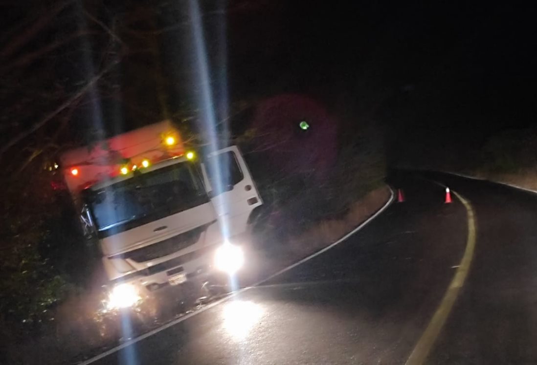 Conductor de camión tortón pierde el control y sale de carretera en Actopan