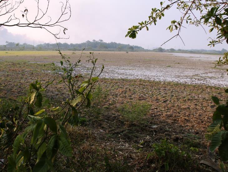 2025 se perfila como el segundo año más seco en Veracruz desde 1981; estos municipios presentan sequía