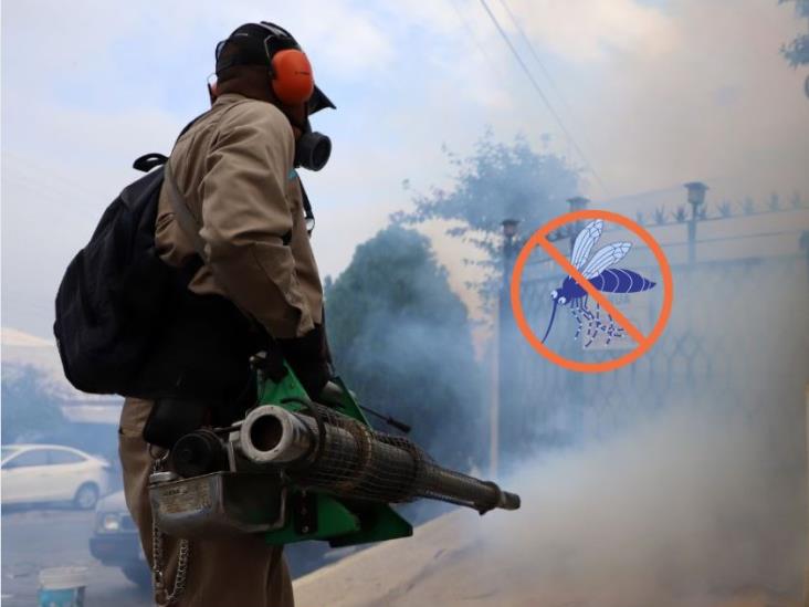 Así va el dengue en Veracruz este año, no bajes la guardia