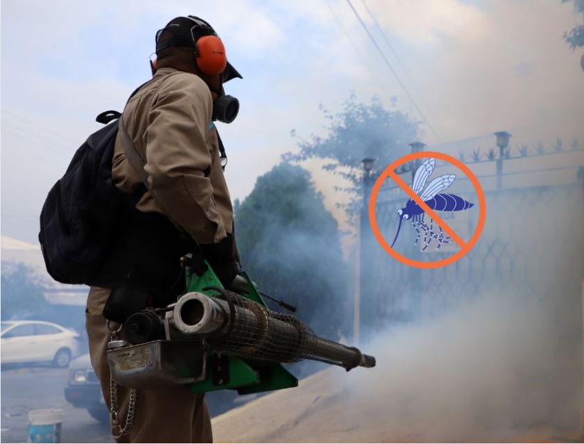 Así va el dengue en Veracruz este año, no bajes la guardia