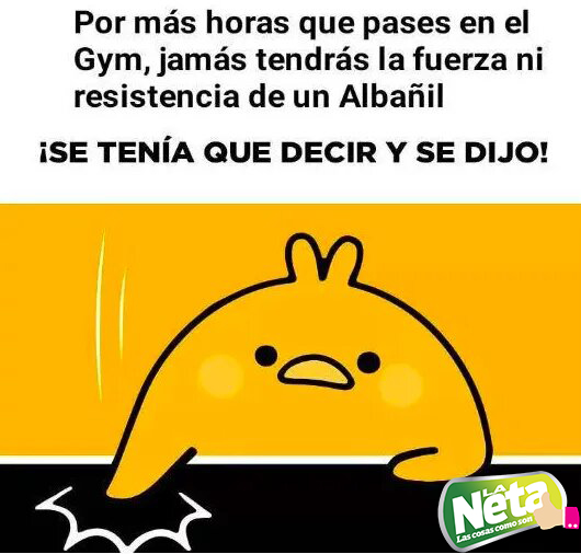 Entre colados y carcajadas: memes del Día del albañil y la Santa Cruz