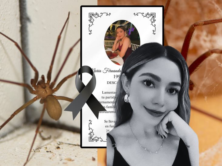 Araña violinista cobra otra víctima: Fernanda falleció en solo 90 minutos