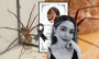 Araña violinista cobra otra víctima: Fernanda falleció en solo 90 minutos