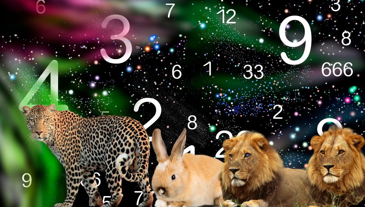 Este es tu animal espiritual, según tu fecha de nacimiento