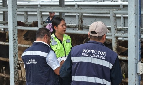 Gobierno federal instalará en Veracruz un punto de verificación para erradicar el gusano barrenador