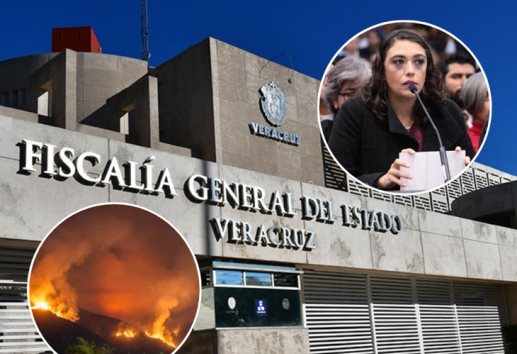 Presentan 2 denuncias ante FGE por incendios forestales provocados en Veracruz 