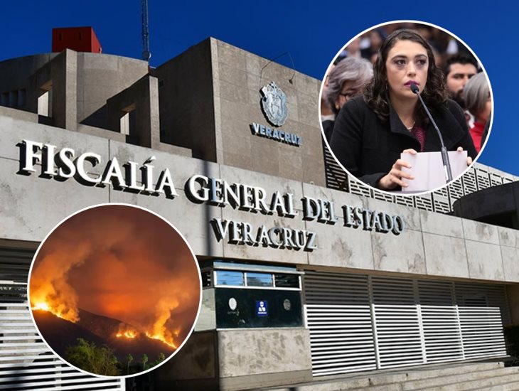 Presentan 2 denuncias ante FGE por incendios forestales provocados en Veracruz 