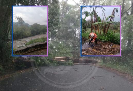 Tormenta y granizada deja afectaciones en zona centro de Veracruz