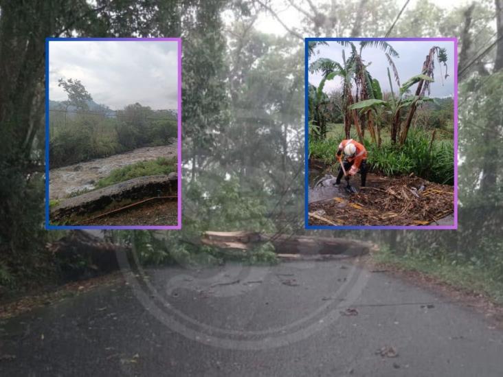 Tormenta y granizada deja afectaciones en zona centro de Veracruz (+Video)