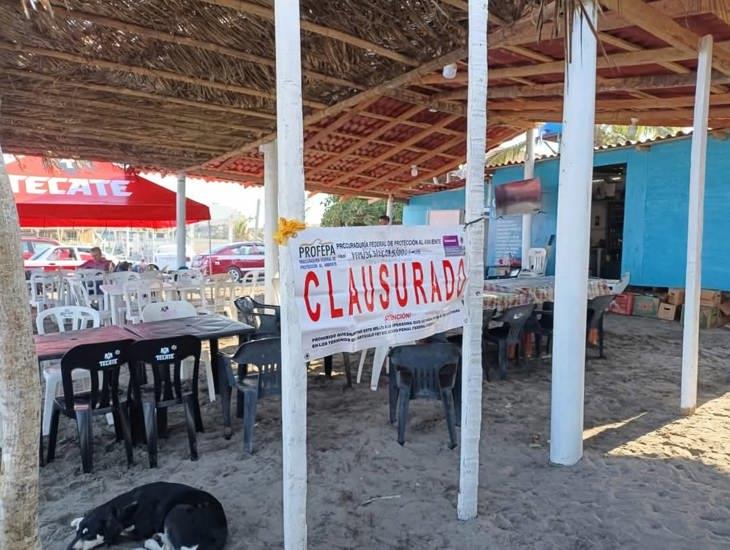 Negocios invaden playas en Chachalacas; Profepa inició clausuras