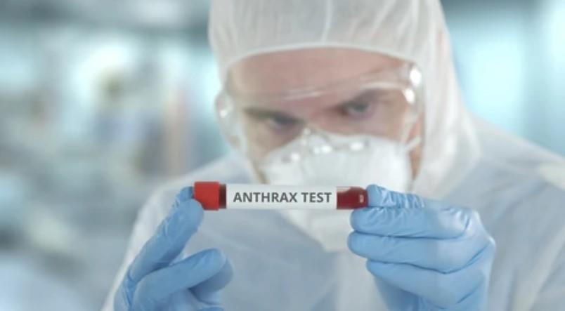 OMS se mantiene en alerta por un brote de ántrax