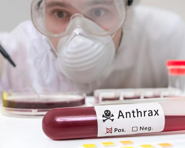 OMS se mantiene en alerta por un brote de ántrax