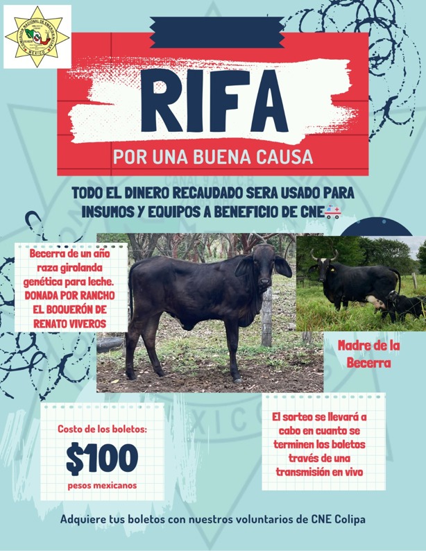 CNE Colipa lanza rifa a beneficio de sus operaciones: una becerra como premio