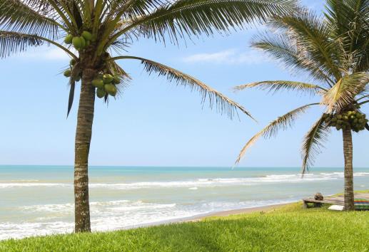 Conoce Tecolutla: un paraíso tropical entre manglares, playa y sabor