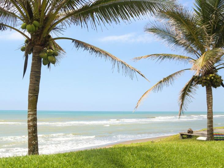 Conoce Tecolutla: un paraíso tropical entre manglares, playa y sabor