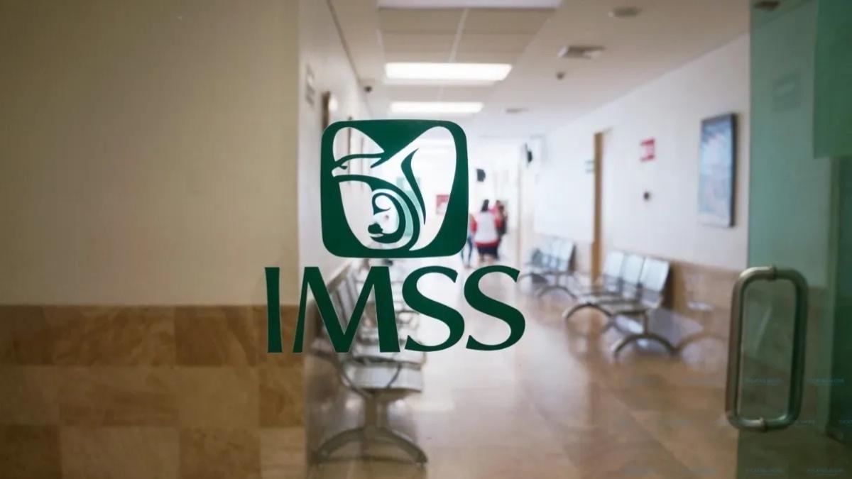 A la sombra del IMSS Veracruz