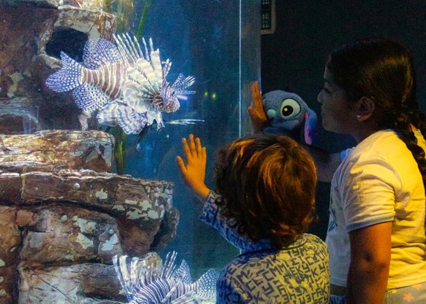 Acuario de Veracruz: ¿Dónde conseguir boletos para el próximo martes gratis?