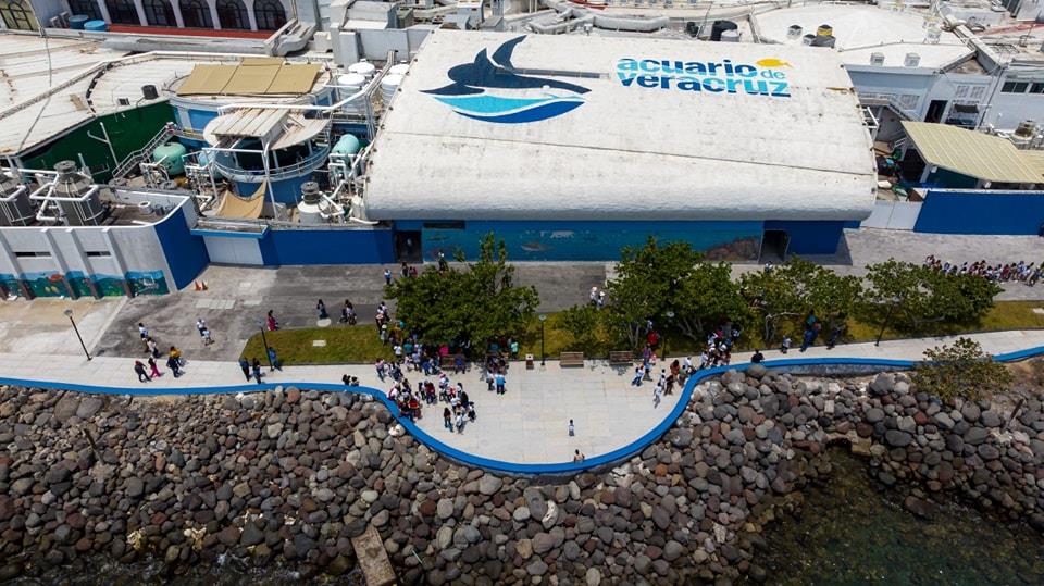 Acuario de Veracruz: ¿Dónde conseguir boletos para el próximo martes gratis?