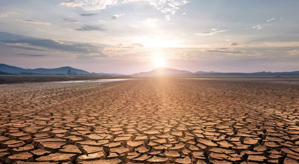 Calor en Veracruz: Estos son los municipios que enfrentan sequía
