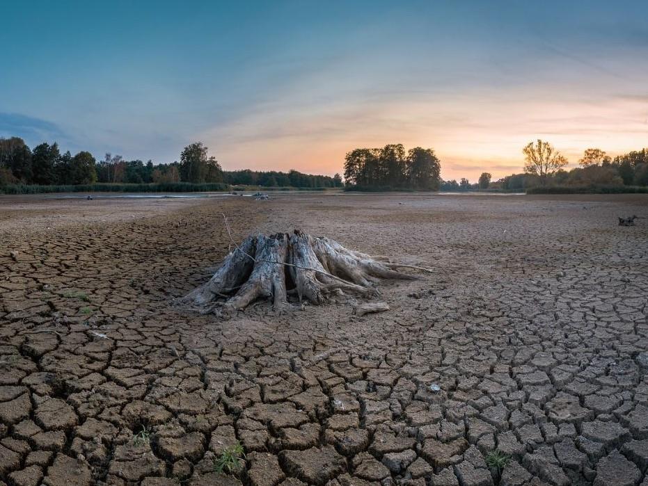 Calor en Veracruz: Estos son los municipios que enfrentan sequía