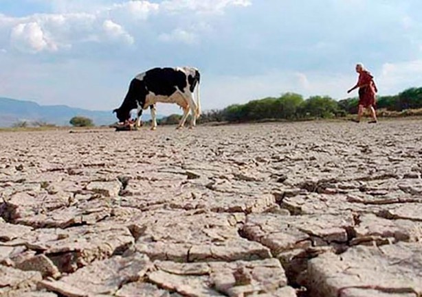 Calor en Veracruz: Estos son los municipios que enfrentan sequía