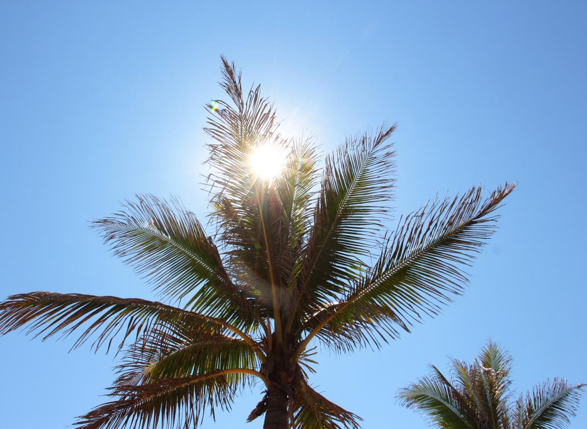 Por surada, este día se intensificará el calor en Coatzacoalcos