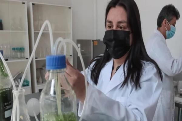 Universidad Veracruzana abre carrera en Ingeniería Ambiental