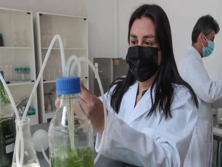 Universidad Veracruzana abre carrera en Ingeniería Ambiental