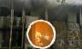Xalapa: Sofocan incendio en casa deshabitada en El Dique