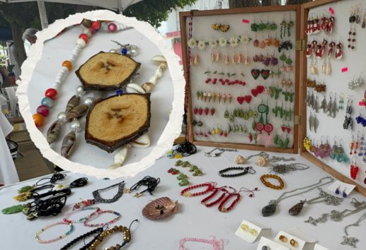 Semillas de distintos frutos son convertidas en arte en el norte de Veracruz