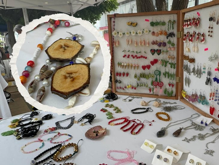 Semillas de distintos frutos son convertidas en arte en el norte de Veracruz