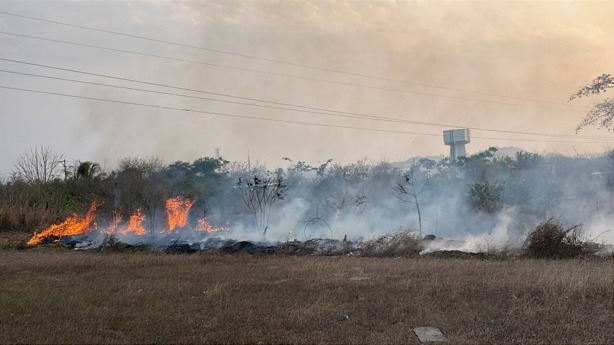 Bomberos controlan y liquidan incendio en colonia de Vega de Alatorre