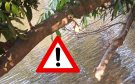 Asesinan a 3 en Hueyapan de Ocampo, Veracruz; sus cuerpos fueron arrojados al río San Juan