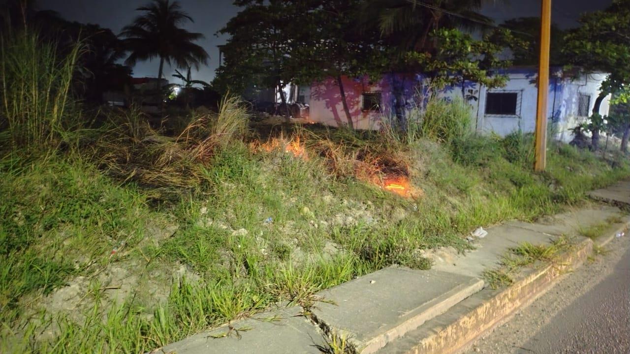 Altas temperaturas aumentan incendios de pastizales en zona pantanosa de Nanchital