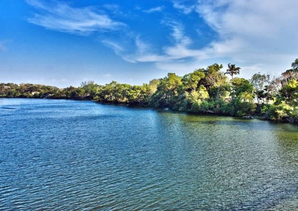 Ambientalistas consiguen amparo para que autoridades atiendan contaminación del río "La Antigua"