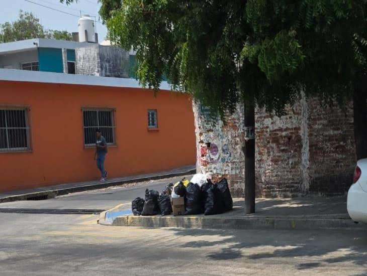 Se quejan por acumulación de basura en colonias de Veracruz