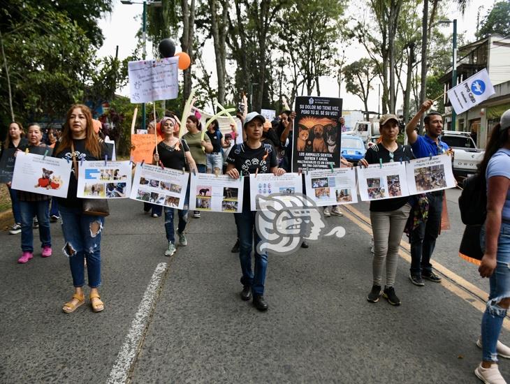 En aumento el maltrato animal en Xalapa y Perote, protestan animalistas (+VIDEO)