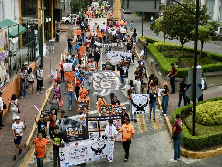 En aumento el maltrato animal en Xalapa y Perote, protestan animalistas (+VIDEO)