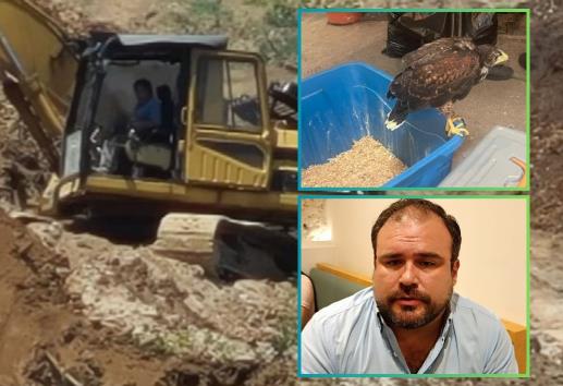 Acusan a FGR de ser omisa ante delitos ambientales en Veracruz