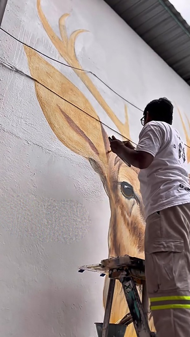 Nuevo mural celebra la identidad cultural de Misantla