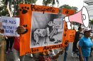 En aumento el maltrato animal en Xalapa y Perote, protestan animalistas (+VIDEO)