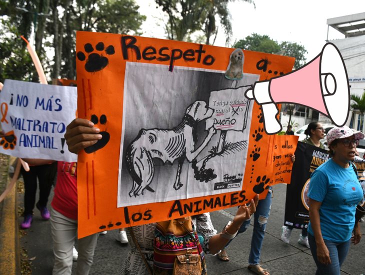 En aumento el maltrato animal en Xalapa y Perote, protestan animalistas (+VIDEO)